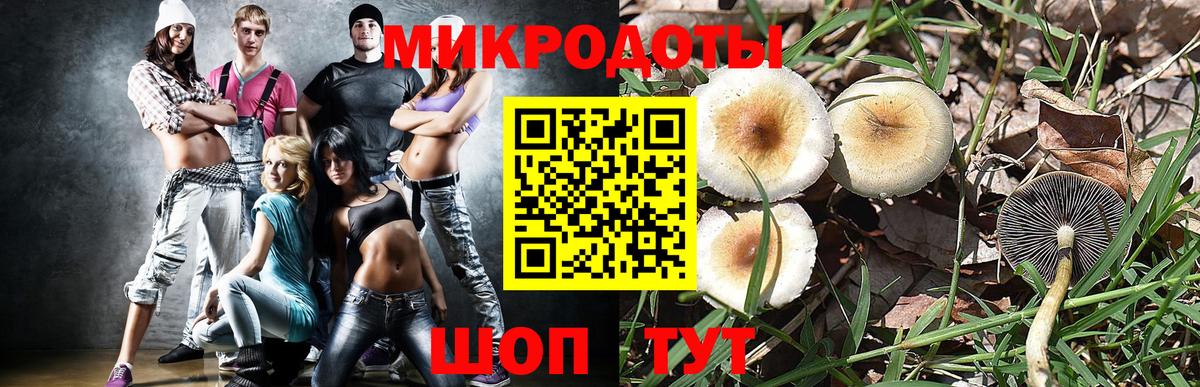 Севастополь  Галлюциногенные грибы Magic Shrooms  Псилоцибиновые грибы Magic Shrooms  Вход с VPN 